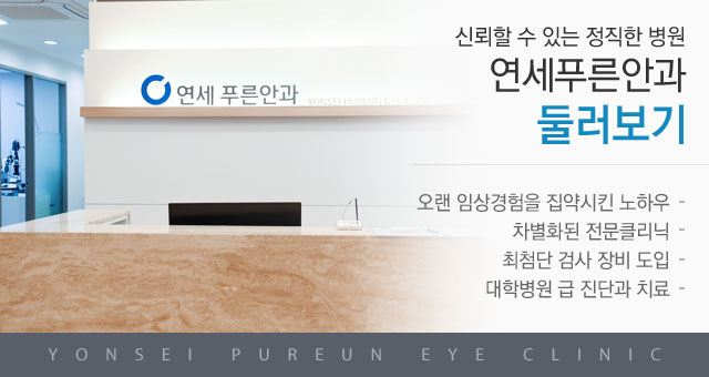 둘러보기