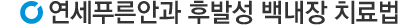 치료법