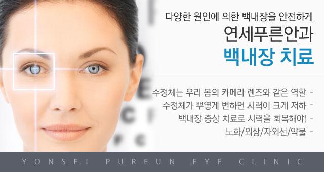 백내장메인이미지