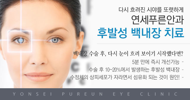 후발성백내장 치료