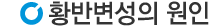 황반변성원인