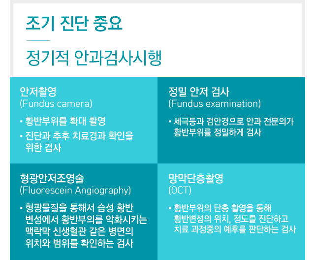 황반변성진단