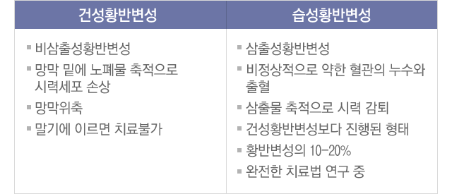 황반변성종류
