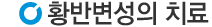 황반변성치료