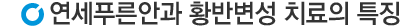 연세안과황반변성치료특징