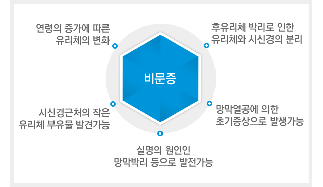 비문증이란