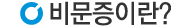 비문증이란