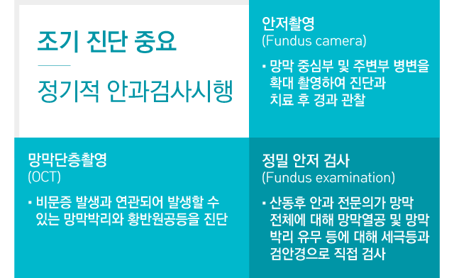 비문증진단