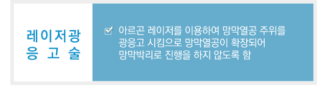 망막열공비문증치료
