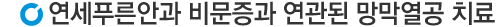 망막열공비문증치료