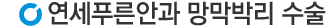 망박박리비문증치료