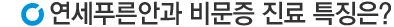 연세안과비문증치료특징