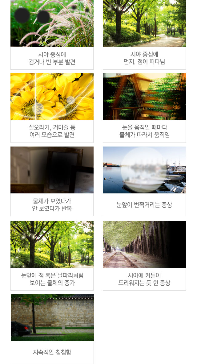 망막 열공 및 망막 박리증상