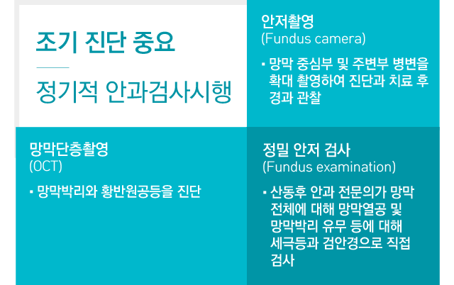 망막 열공 및 망막 박리진단