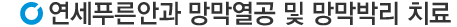 망막 열공 및 망막 박리 치료