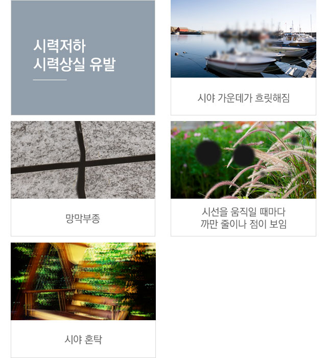 당뇨망막병증증상
