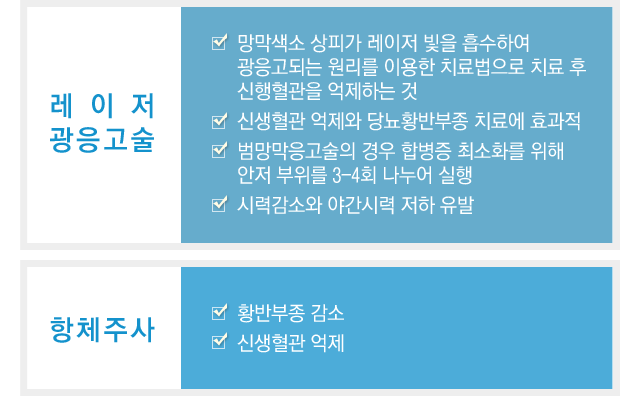 당뇨망막병증치료