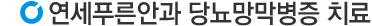 당뇨망막병증치료