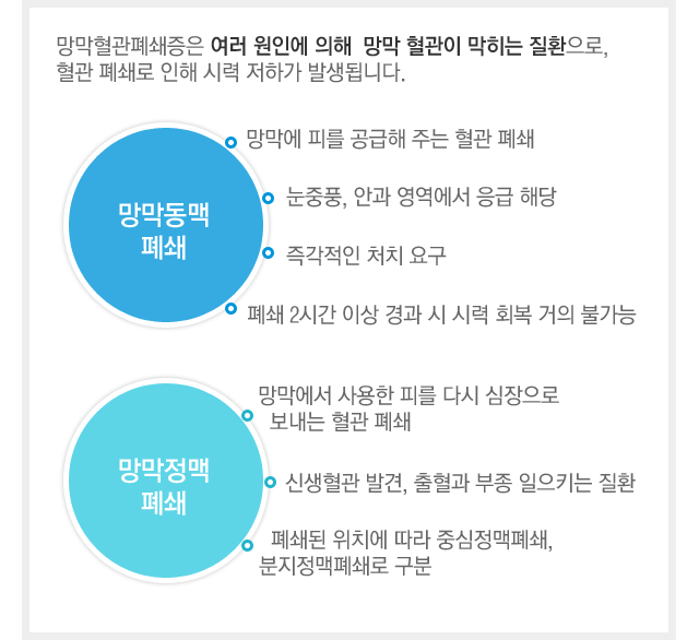 망막혈관폐쇄이란