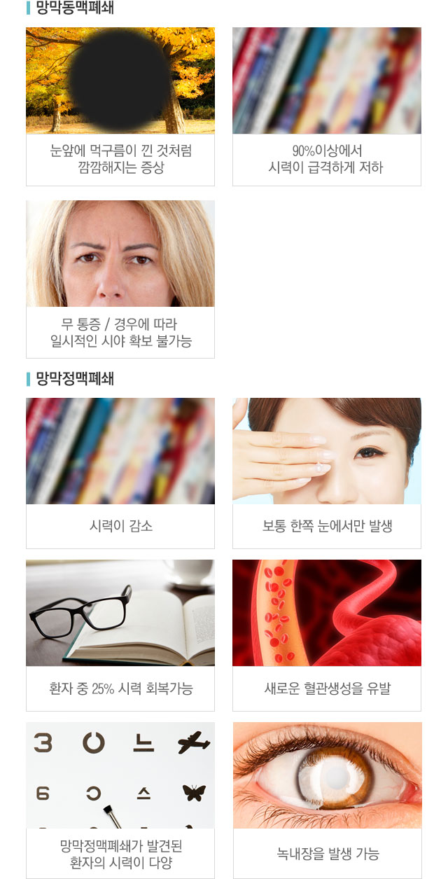 망막혈관폐쇄진증상