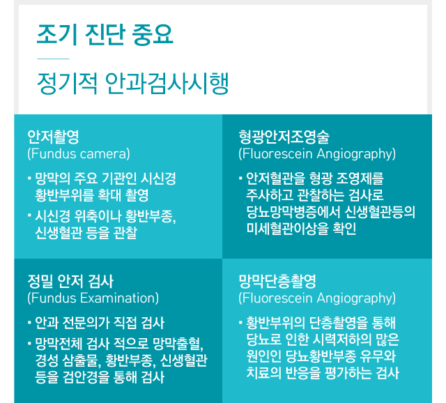 망막혈관폐쇄진단