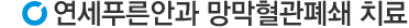연세안과망막혈관폐쇄치료