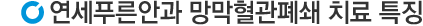 연세안과망막혈관폐쇄치료특징