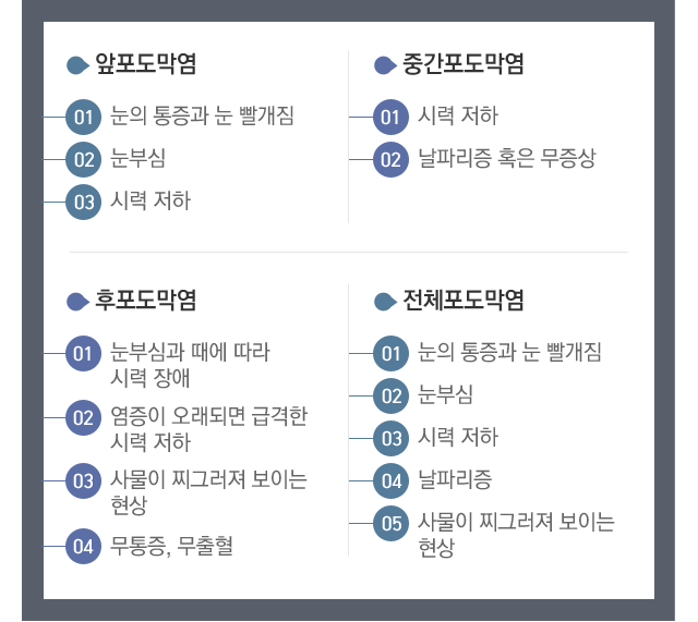 포도막염증상
