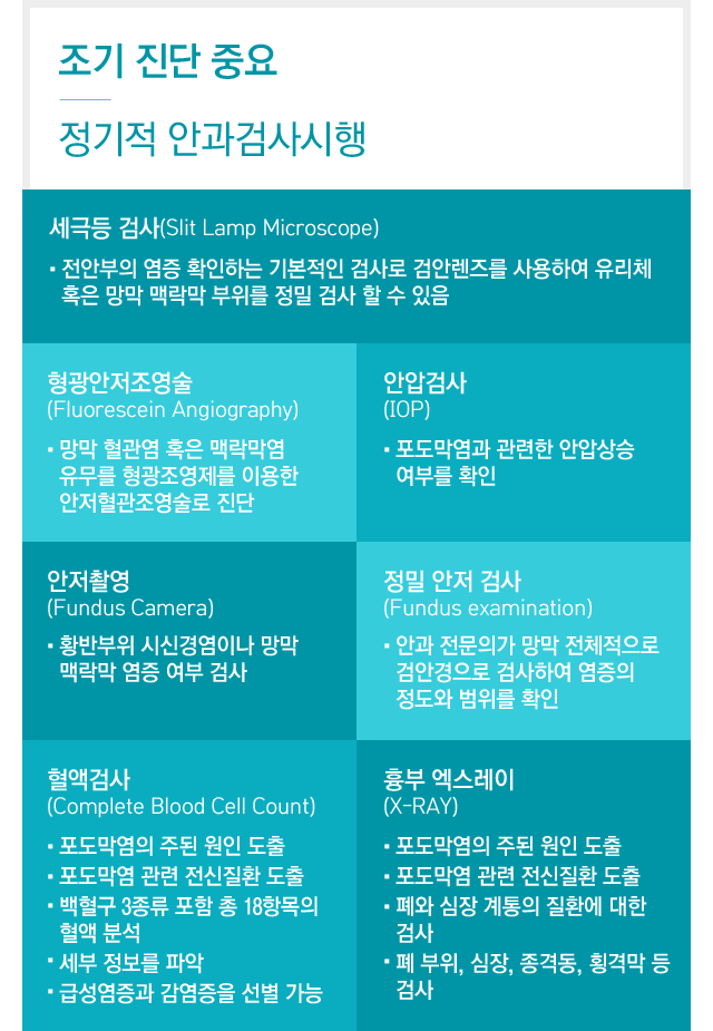 포도막염진단
