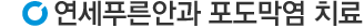 포도막염치료