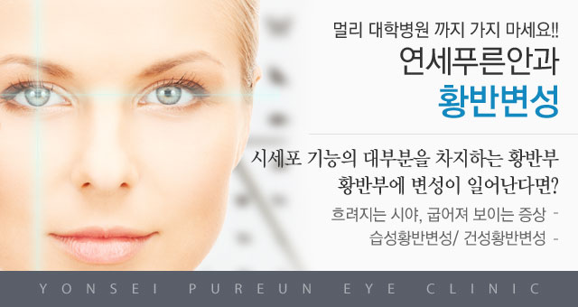 황반변성메인이미지
