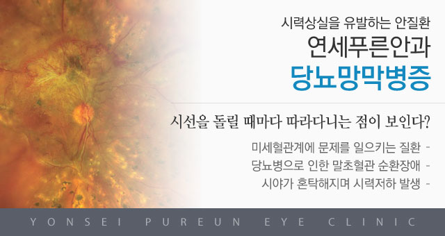 당뇨망막병증메인이미지