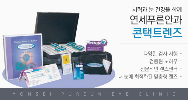 콘택트렌즈