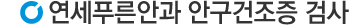 검사