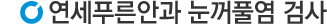 검사