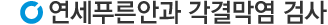 검사