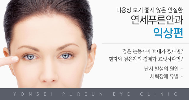 익상편