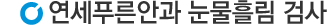 검사