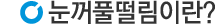 눈꺼풀떨림이란