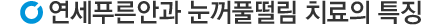 치료 특징
